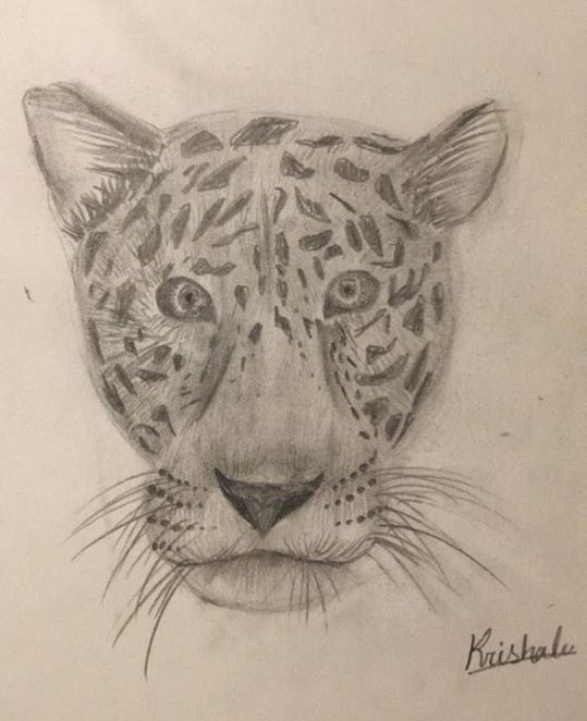 My first blog