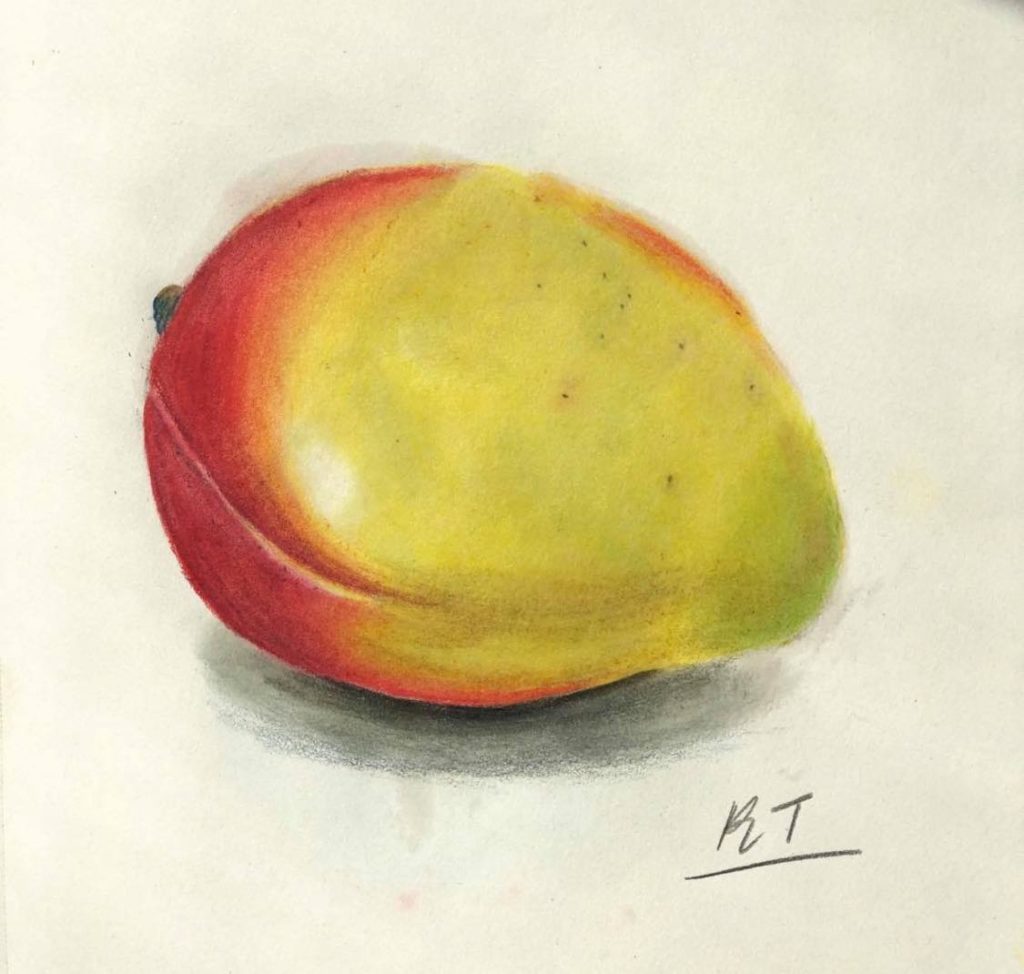 Mango drawing
